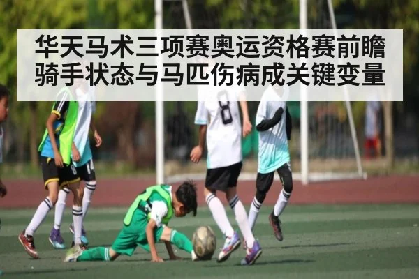 华天马术三项赛奥运资格赛前瞻 骑手状态与马匹伤病成关键变量